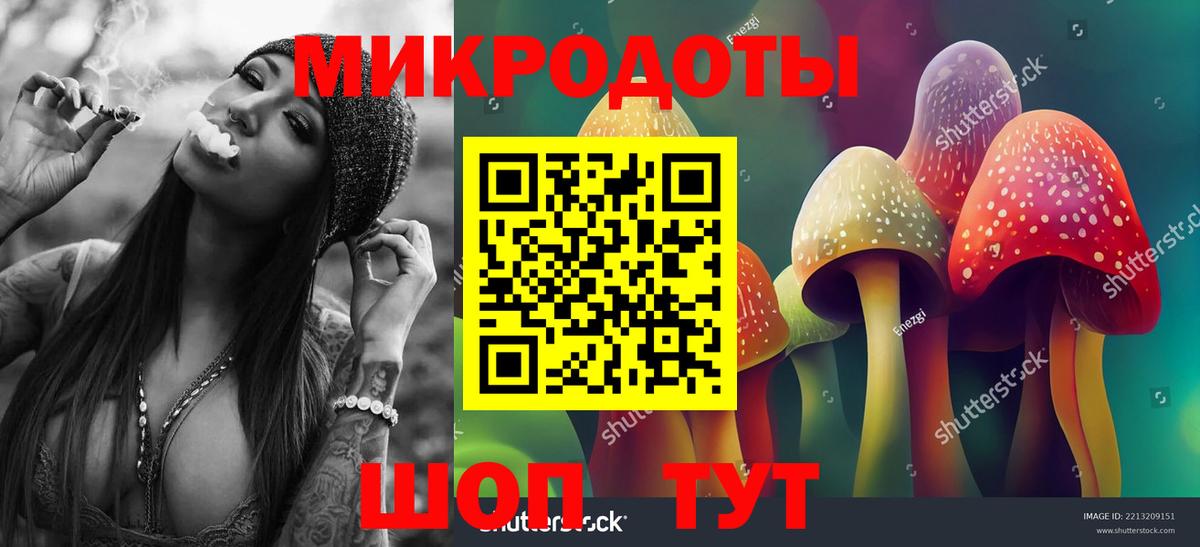 Псилоцибиновые грибы Cubensis Тихорецк